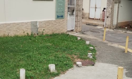 WhatsApp Image 2026-03-19 at 16.34.27